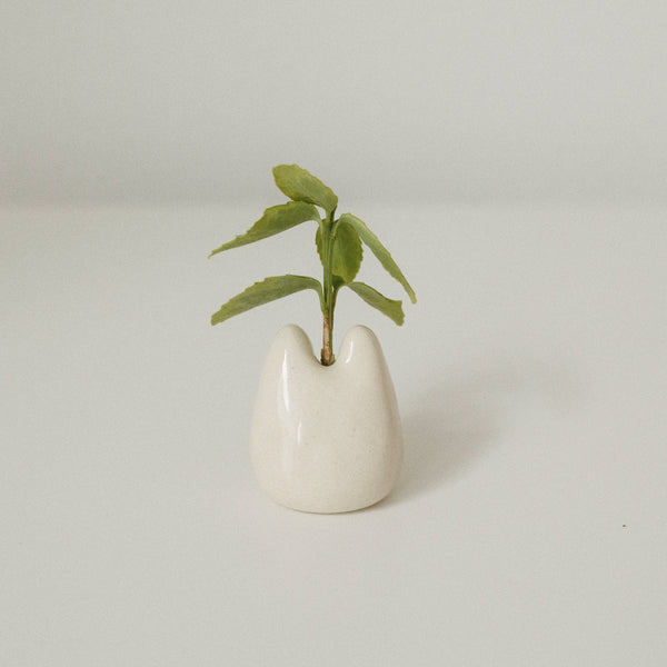 Mini Bud Vases – Minna May Design