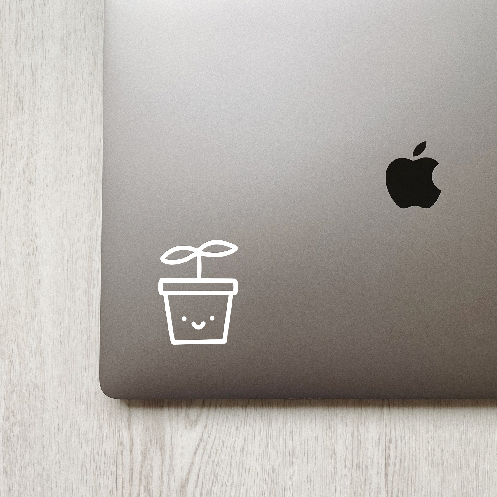 Little Sprout Laptop/Window Decal Sticker